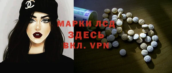 стафф Алзамай