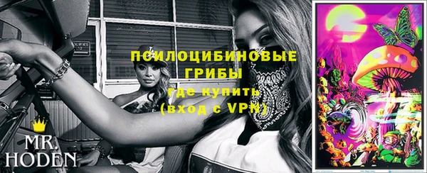 стафф Алзамай