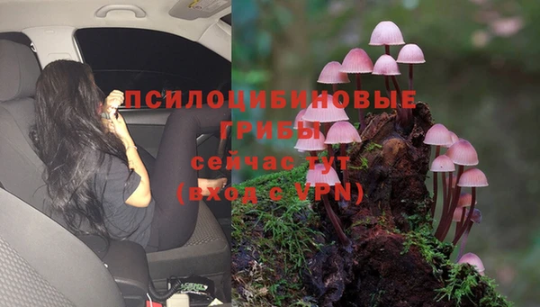 кристаллы Алексин