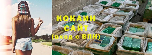 стафф Алзамай